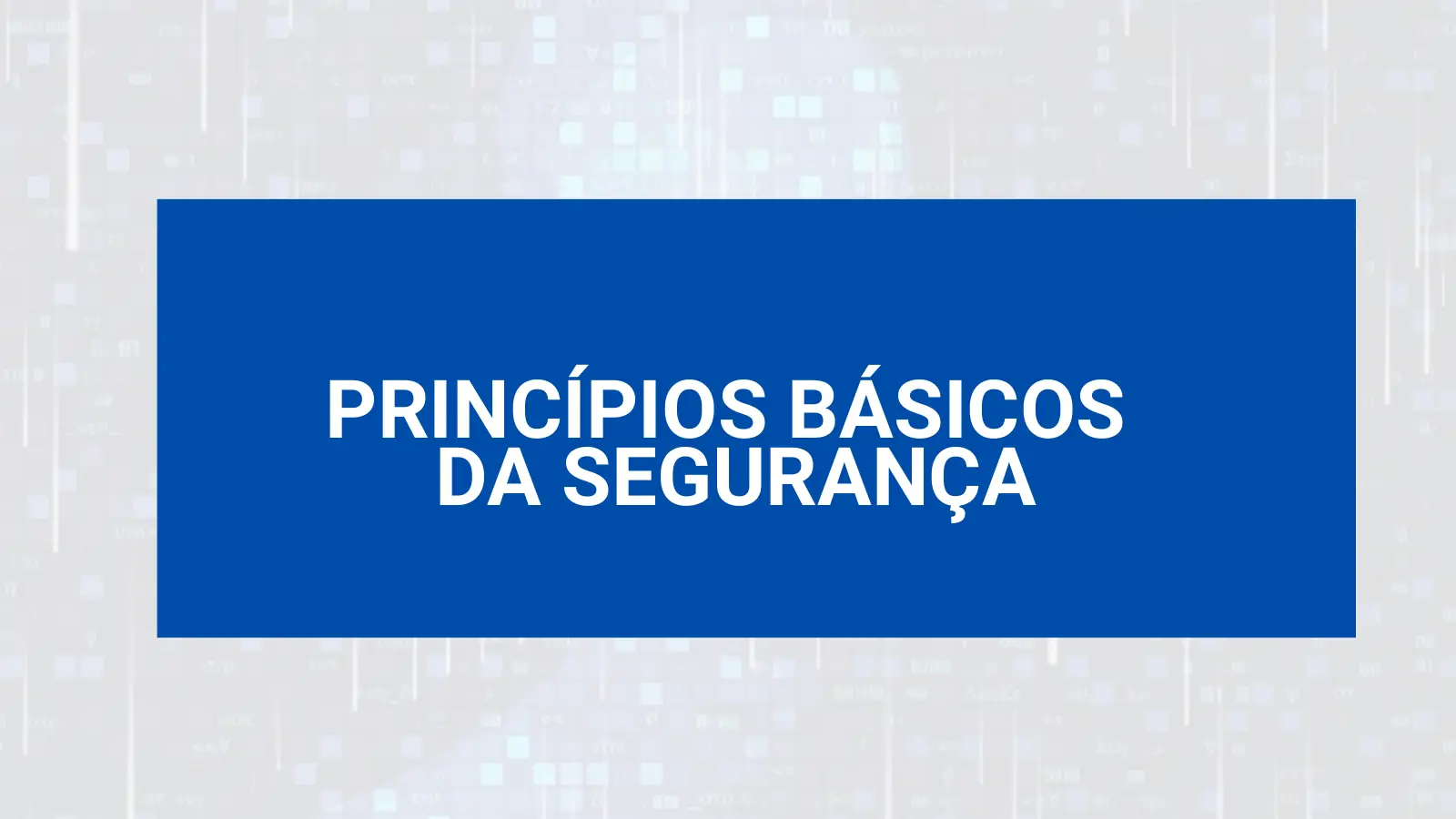 PRINCÍPIOS BÁSICOS DA SEGURANÇA